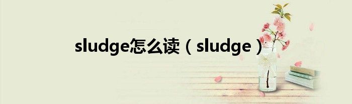 sludge怎么读（sludge）