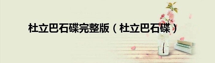 杜立巴石碟完整版(杜立巴石碟)