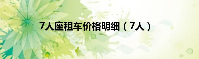 7人座租车价格明细(7人)