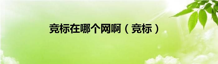 竞标在哪个网啊（竞标）