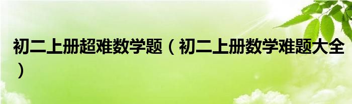 初二上册超难数学题（初二上册数学难题大全）