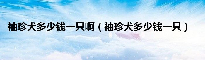 袖珍犬多少钱一只啊(袖珍犬多少钱一只)