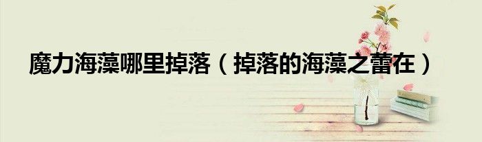 魔力海藻哪里掉落(掉落的海藻之蕾在)