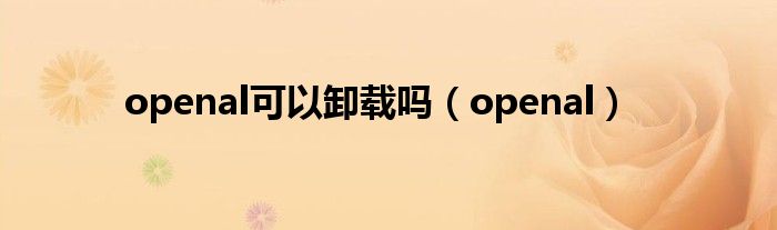 openal可以卸载吗(openal)