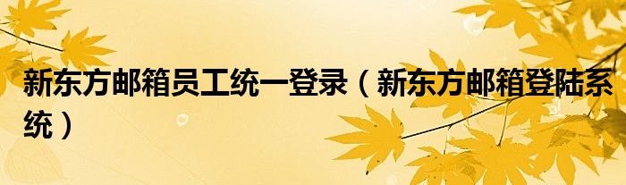 新东方邮箱员工统一登录(新东方邮箱登陆系统)
