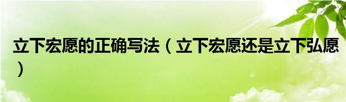 立下宏愿的正确写法(立下宏愿还是立下弘愿)