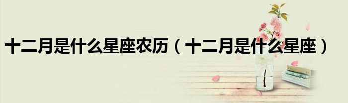 十二月是什么星座农历(十二月是什么星座)