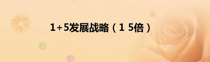 1+5发展战略(1 5倍)