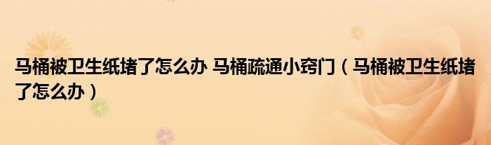 马桶被卫生纸堵了怎么办 马桶疏通小窍门(马桶被卫生纸堵了怎么办)