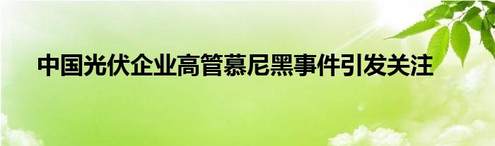 中国光伏企业高管慕尼黑事件引发关注
