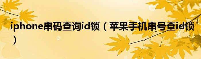 iphone串码查询id锁(苹果手机串号查id锁)