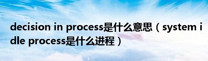 decision in process是什么意思(system idle process是什么进程)
