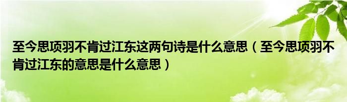 至今思项羽不肯过江东这两句诗是什么意思(至今思项羽不肯过江东的意思是什么意思)