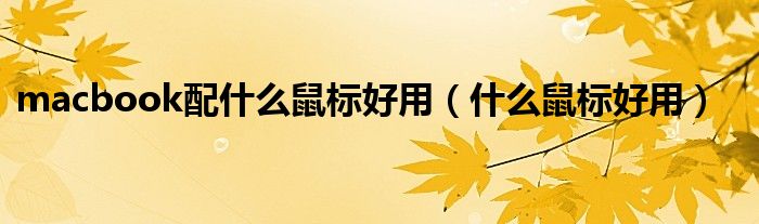 macbook配什么鼠标好用(什么鼠标好用)