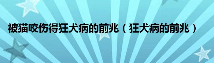 被猫咬伤得狂犬病的前兆(狂犬病的前兆)