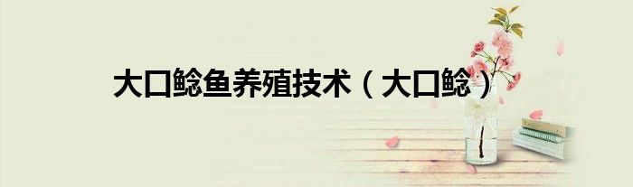 大口鲶鱼养殖技术(大口鲶)