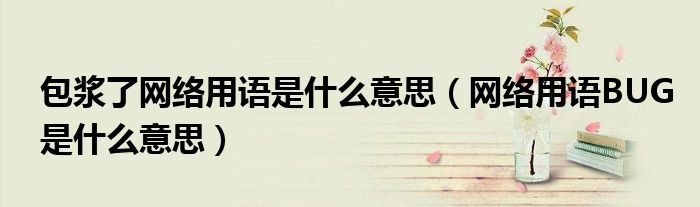 包浆了网络用语是什么意思(网络用语BUG是什么意思)