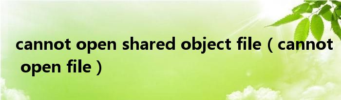 cannot open shared object file(cannot open file)