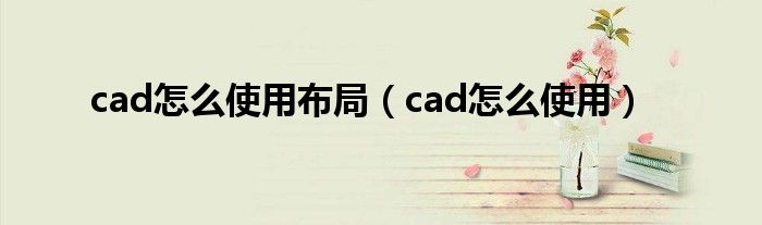cad怎么使用布局(cad怎么使用)