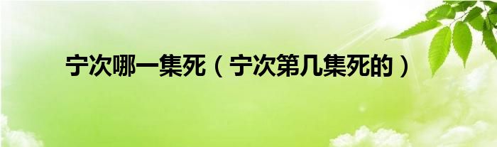 宁次哪一集死(宁次第几集死的)