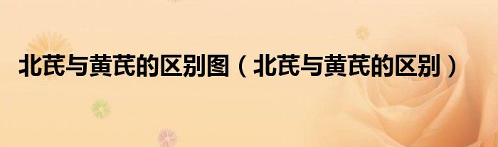 北芪与黄芪的区别图(北芪与黄芪的区别)