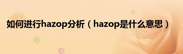 如何进行hazop分析（hazop是什么意思）