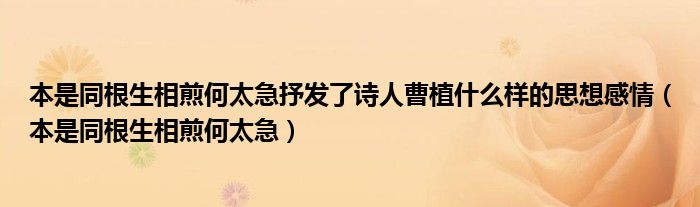 本是同根生相煎何太急抒发了诗人曹植什么样的思想感情(本是同根生相煎何太急)