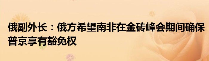俄副外长:俄方希望南非在金砖峰会期间确保普京享有豁免权
