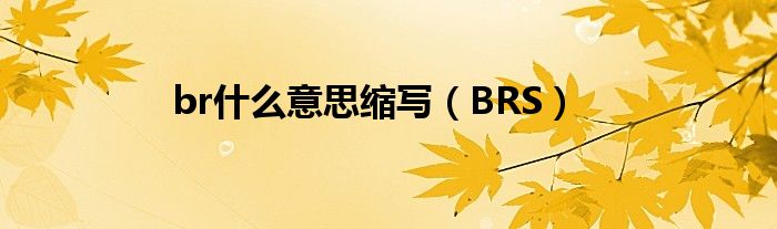 br什么意思缩写(BRS)