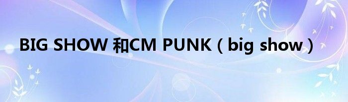 BIG SHOW 和CM PUNK(big show)