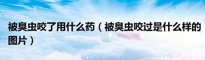 被臭虫咬了用什么药(被臭虫咬过是什么样的图片)