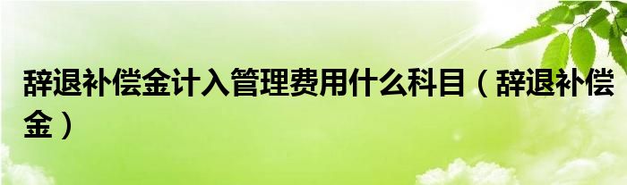 辞退补偿金计入管理费用什么科目(辞退补偿金)
