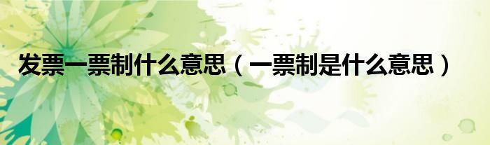 发票一票制什么意思(一票制是什么意思)