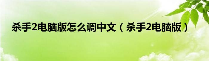 杀手2电脑版怎么调中文(杀手2电脑版)