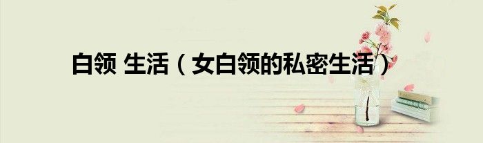 白领 生活(女白领的私密生活)