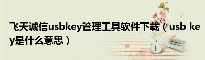 飞天诚信usbkey管理工具软件下载(usb key是什么意思)
