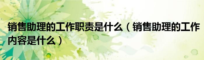 销售助理的工作职责是什么(销售助理的工作内容是什么)