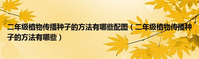 二年级植物传播种子的方法有哪些配图(二年级植物传播种子的方法有哪些)