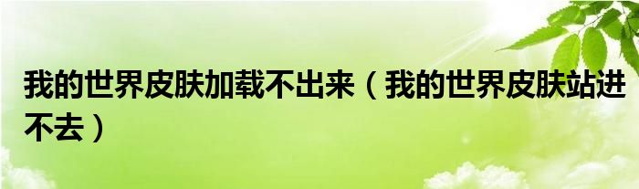 我的世界皮肤加载不出来（我的世界皮肤站进不去）