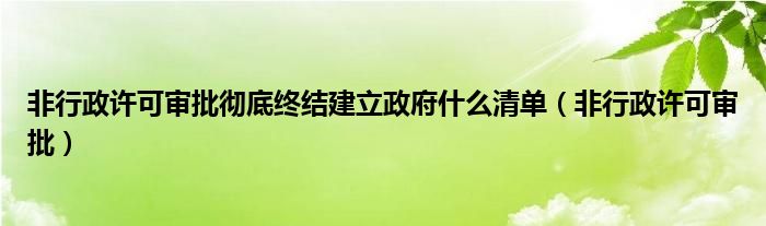 非行政许可审批彻底终结建立政府什么清单(非行政许可审批)