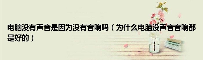 电脑没有声音是因为没有音响吗(为什么电脑没声音音响都是好的)