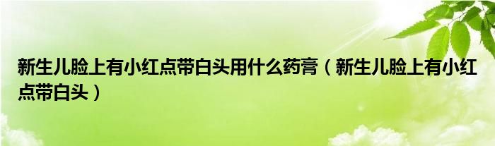 新生儿脸上有小红点带白头用什么药膏(新生儿脸上有小红点带白头)