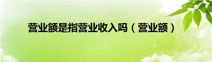 营业额是指营业收入吗(营业额)