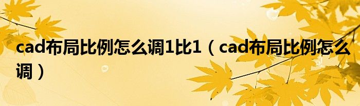 cad布局比例怎么调1比1(cad布局比例怎么调)