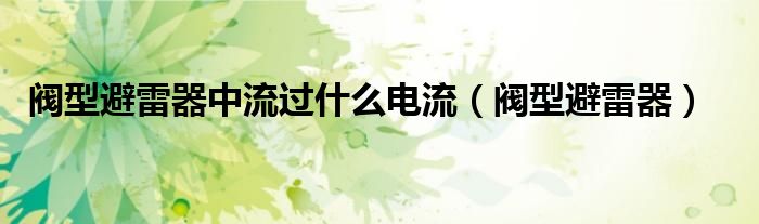阀型避雷器中流过什么电流(阀型避雷器)