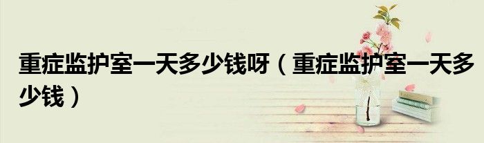重症监护室一天多少钱呀(重症监护室一天多少钱)