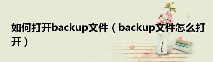如何打开backup文件(backup文件怎么打开)