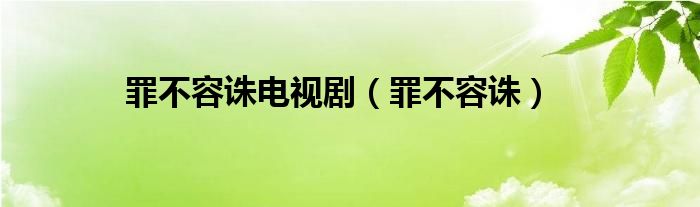 罪不容诛电视剧(罪不容诛)
