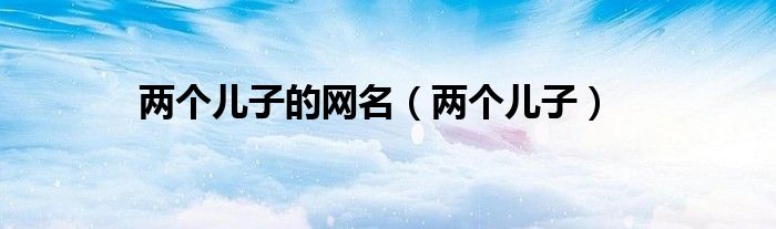 两个儿子的网名(两个儿子)