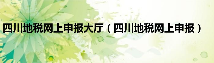 四川地税网上申报大厅(四川地税网上申报)